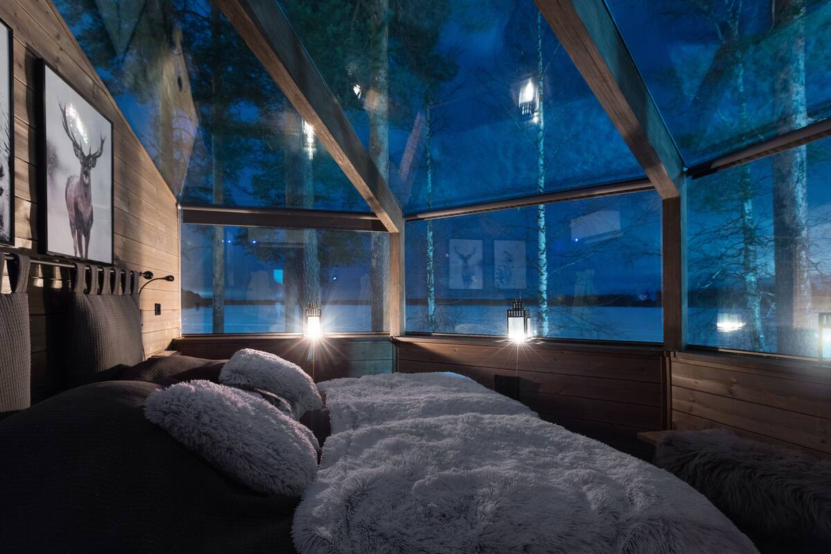 A cozy room with a large bed, fluffy pillows, and a view of trees through a glass ceiling.