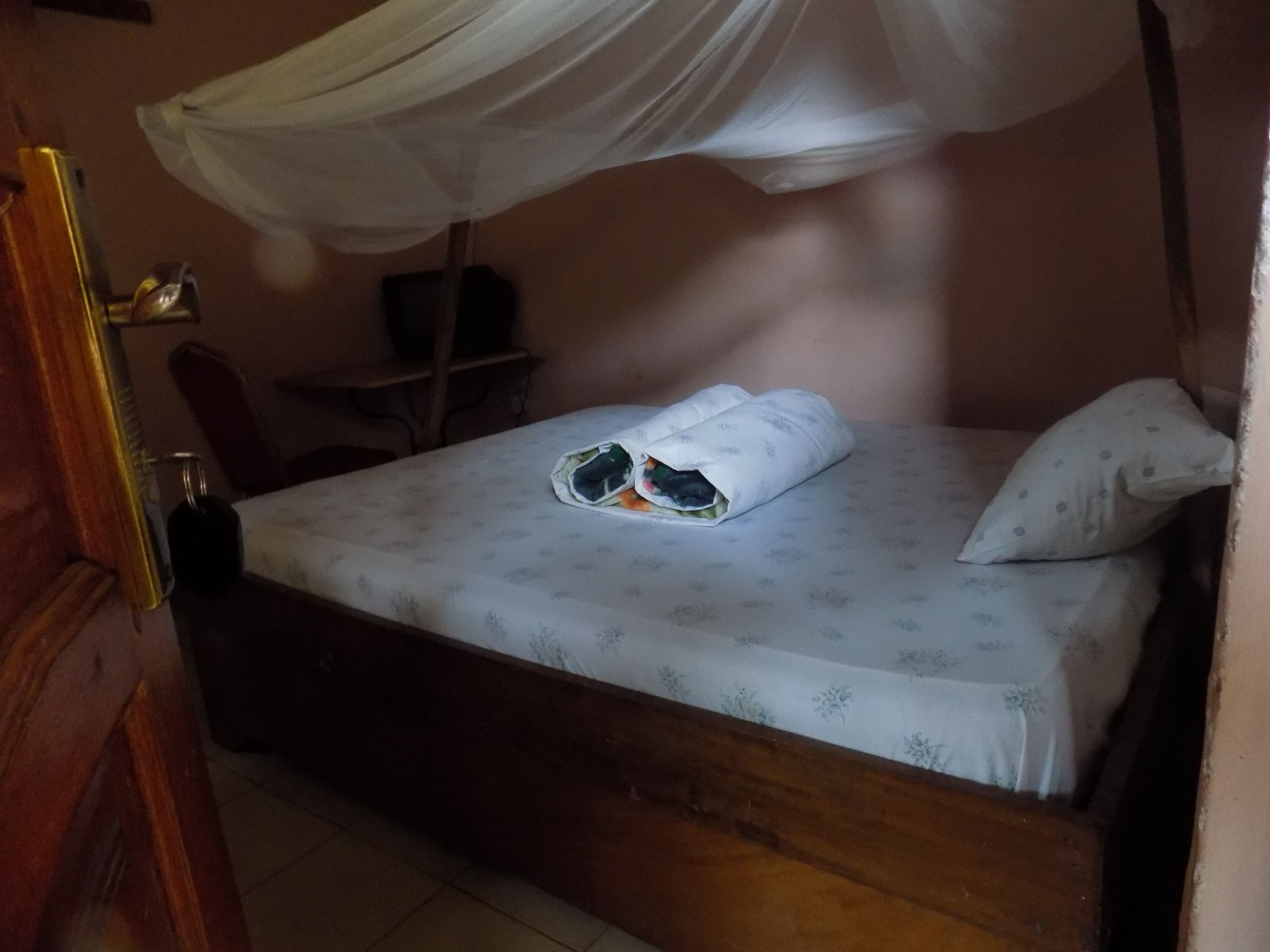 A single bed with a mosquito net, a pillow, and a blanket.