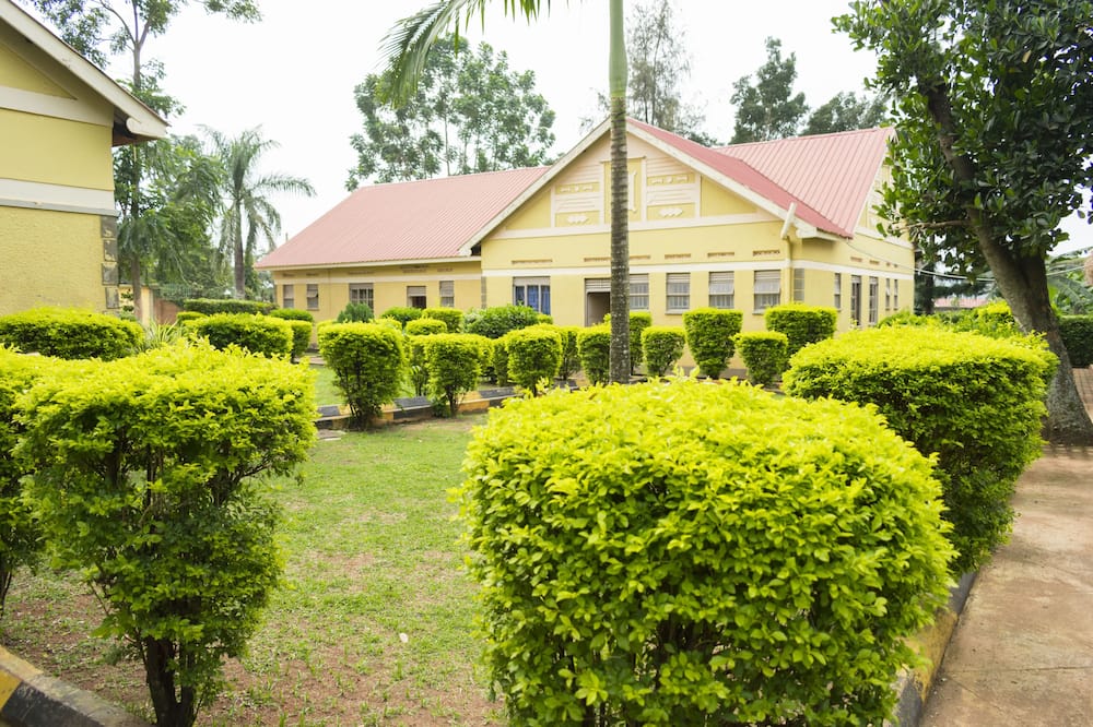 Green Garden Hotel