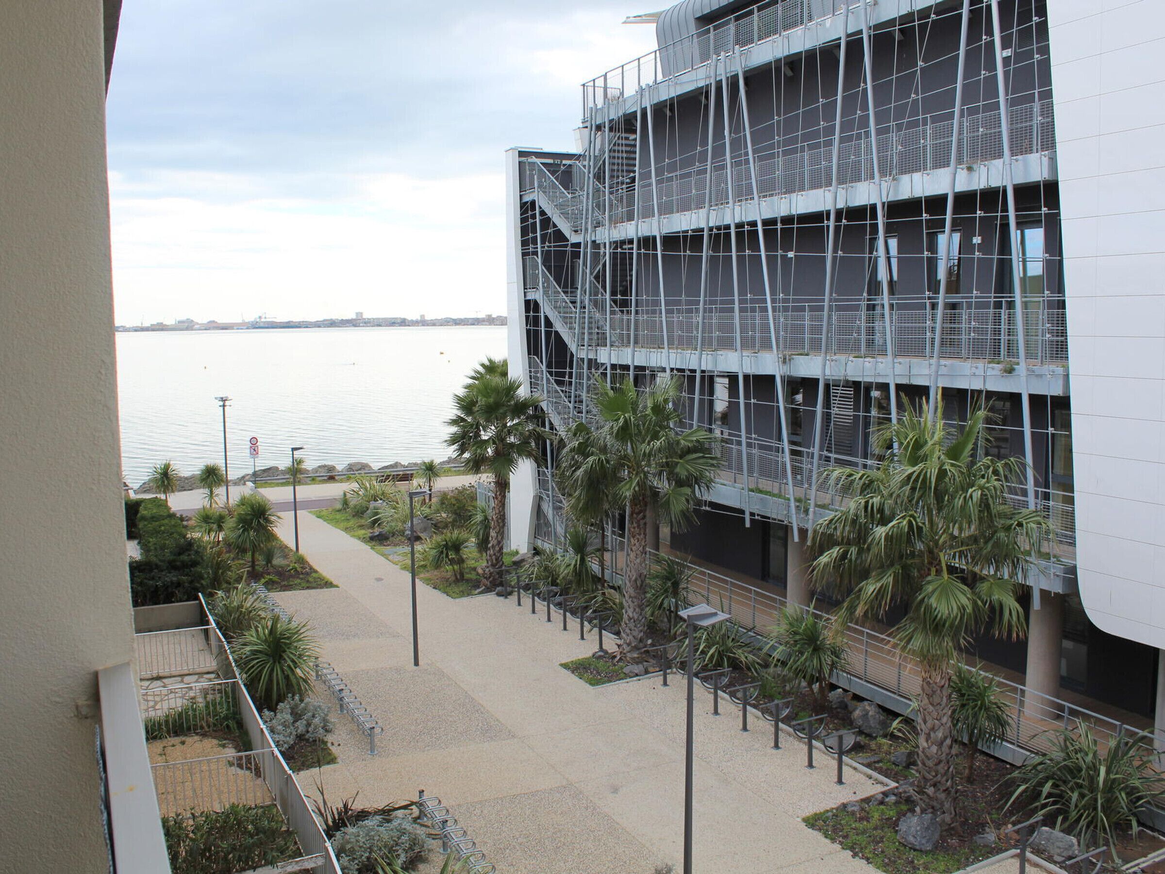 Un bâtiment moderne offrant une vue sur le front de mer, doté d’une promenade piétonne et agrémenté de palmiers.