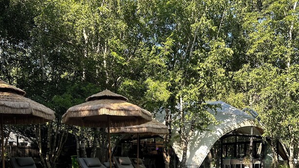 A swimming pool with lounge chairs and umbrellas, surrounded by trees.
