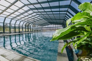 A swimming pool with a glass ceiling structure, surrounded by greenery.