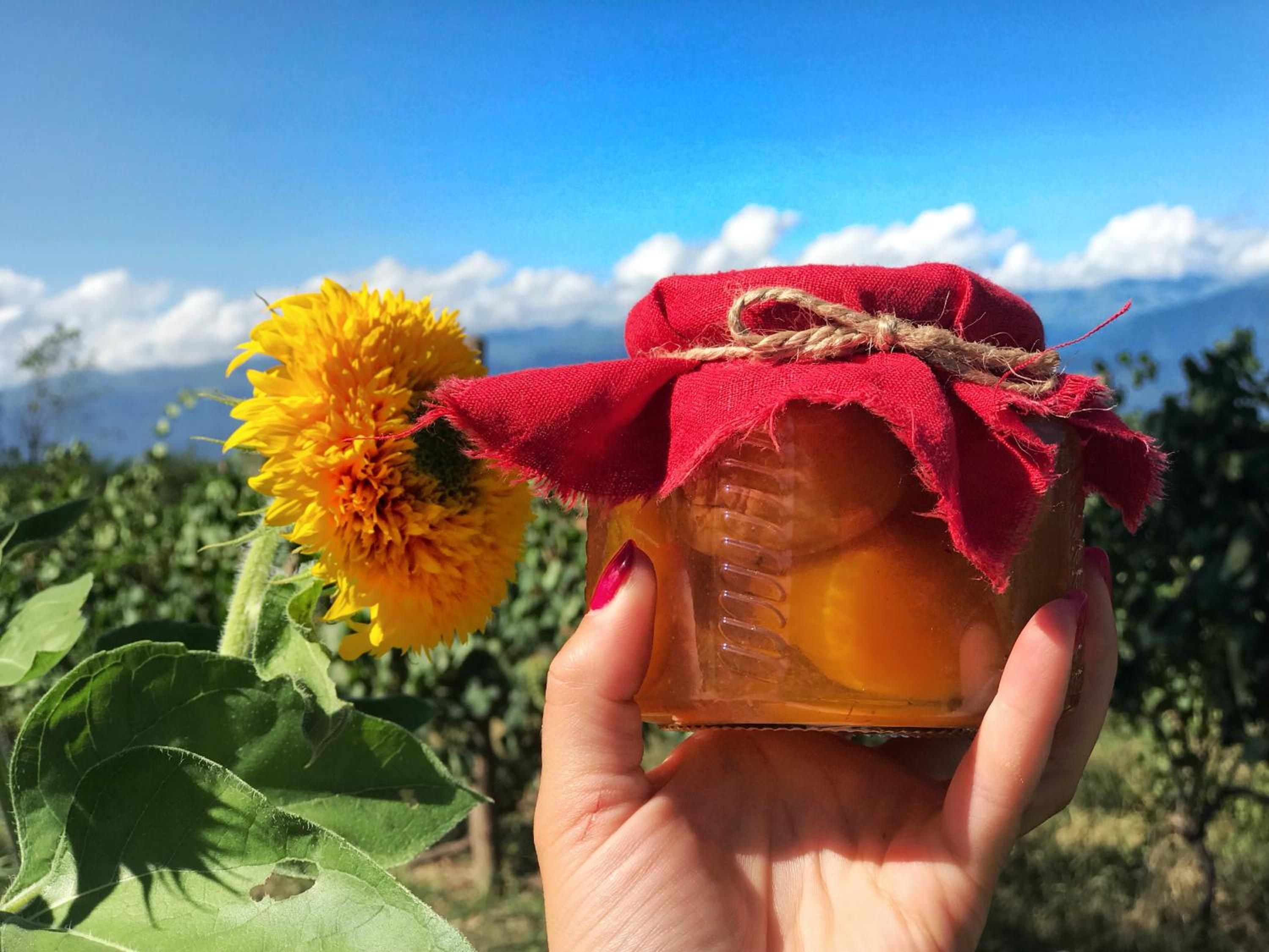 A hand holding a honey jar with a red cloth and a sunflower in the background.