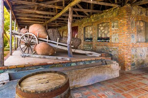 Bodega de vino