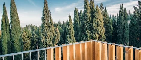Una valla de madera con barandilla metálica, con vistas a un bosque de altos árboles de hoja perenne.