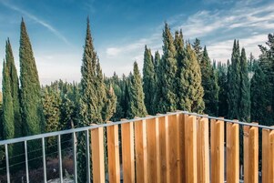 Una valla de madera con barandilla metálica, con vistas a un bosque de altos árboles de hoja perenne.