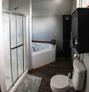 Combined shower/bathtub, jetted bath, hair dryer, towels - Large home, Pet friendly (Union)