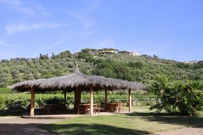 Udendørsområde