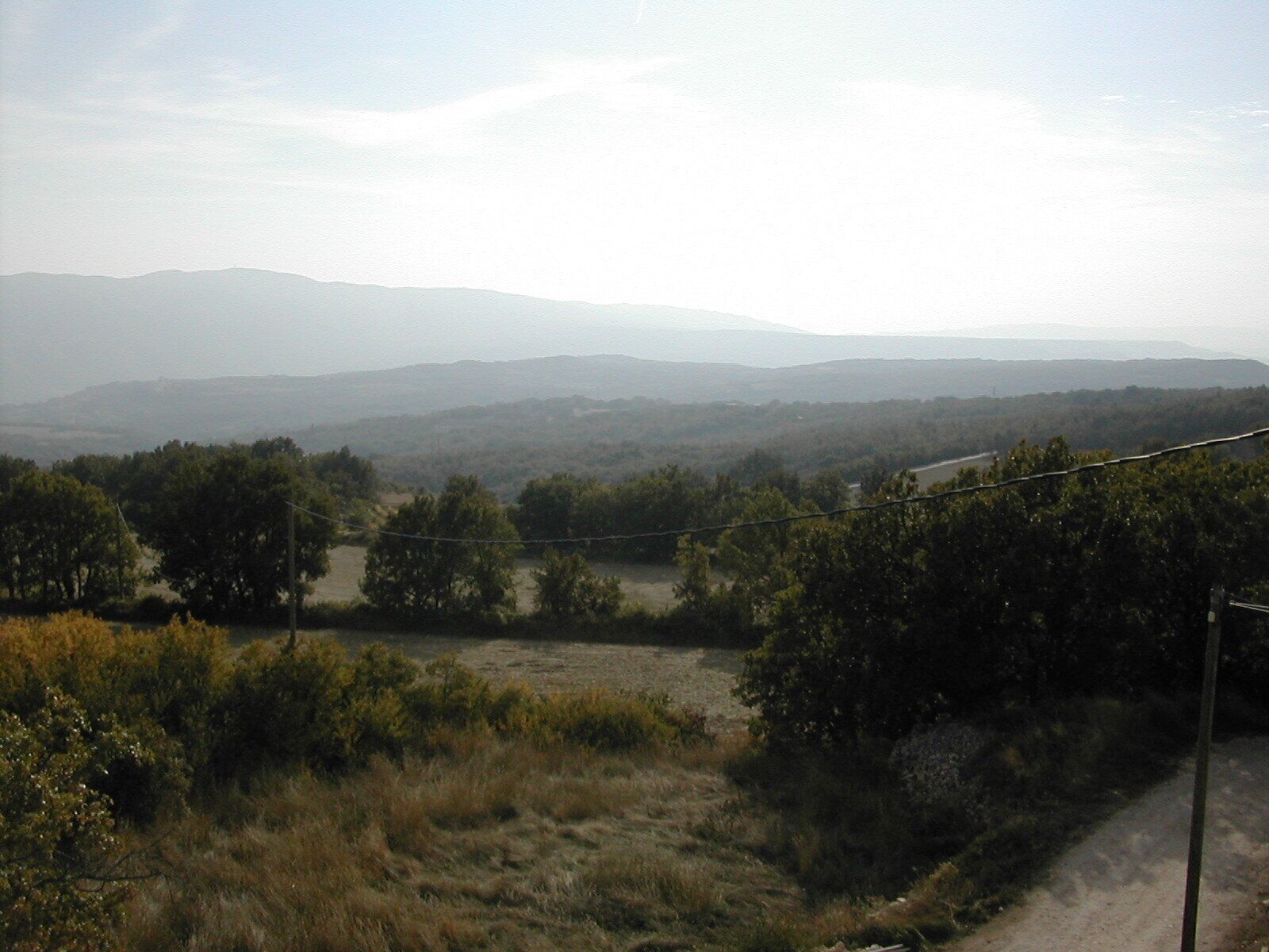 Ländliche Landschaft mit sanften Hügeln, Bäumen und einem Feldweg.