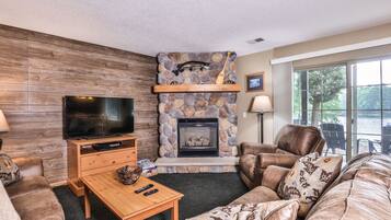 Télévision, cheminée, lecteur de DVD