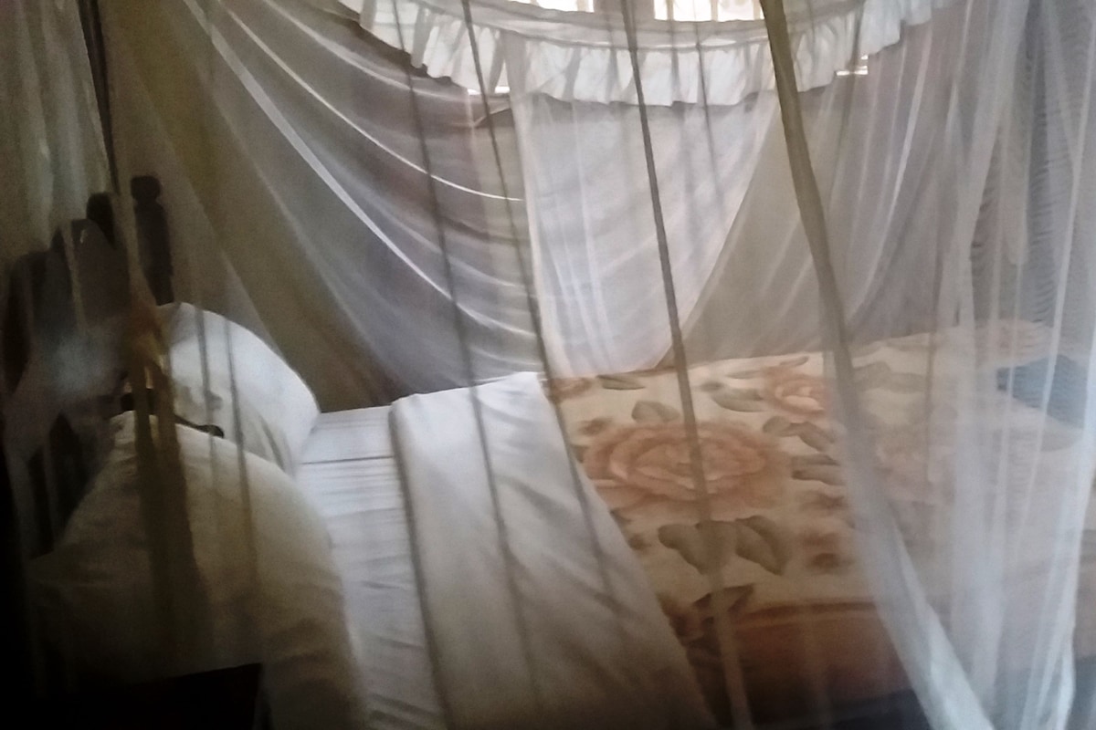 Desk, soundproofing, bed sheets