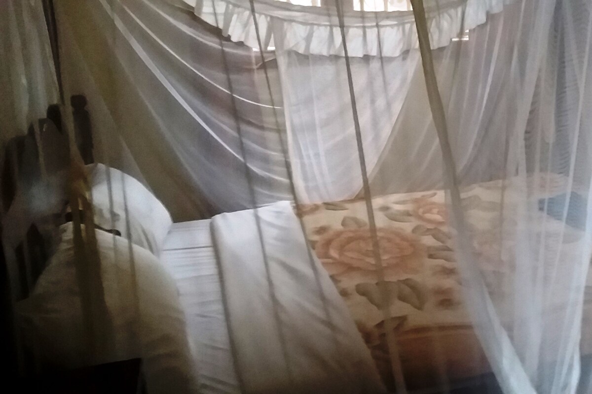 Desk, soundproofing, bed sheets
