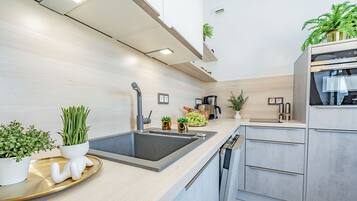 Deluxe Apartment | Private kitchen | Full-sized fridge, microwave, dishwasher, coffee/tea maker