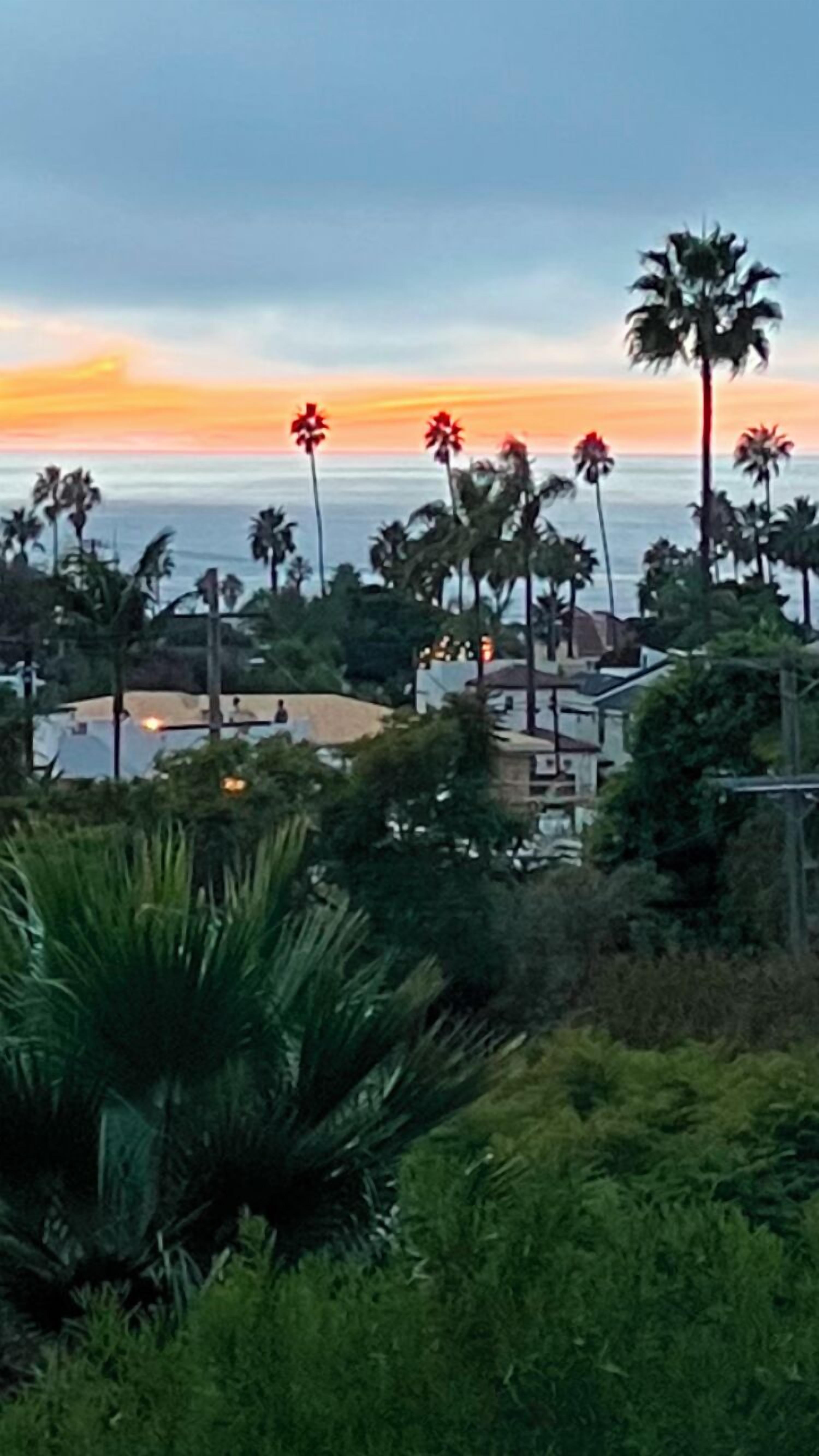 Paisaje costero con palmeras y un atardecer.