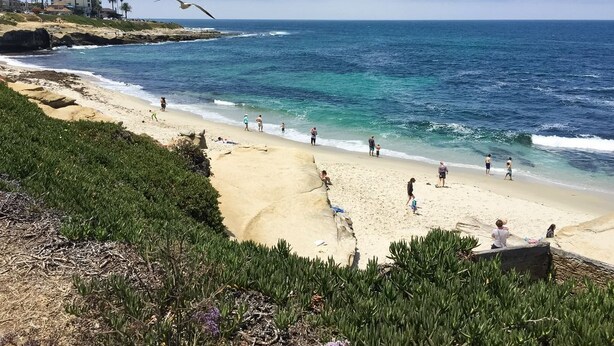 En strand med folk, der går langs kysten, en måge i flugt, og bygninger i baggrunden.