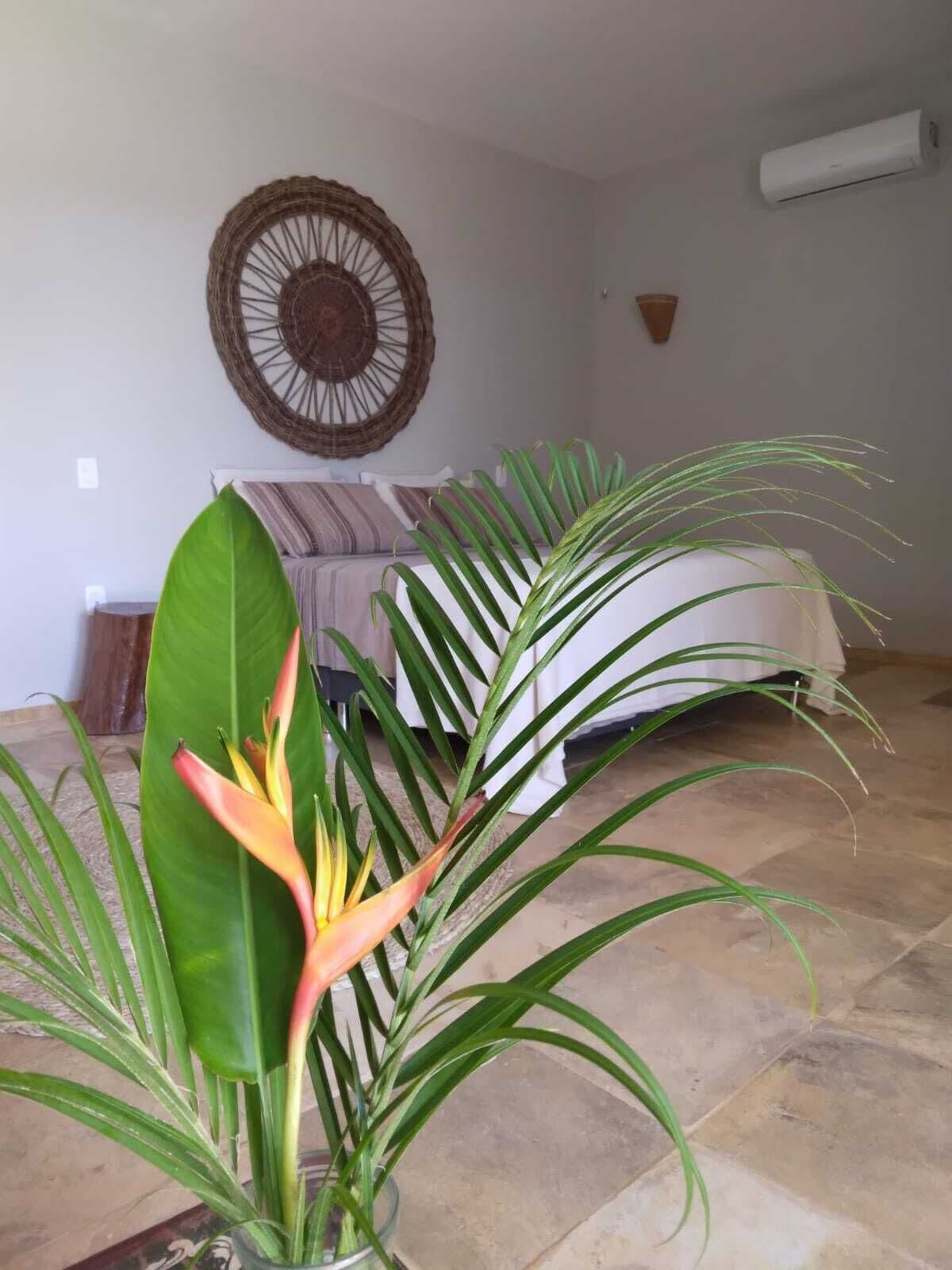 A room with a bed, a large decorative wall hanging, and a potted plant with broad leaves.