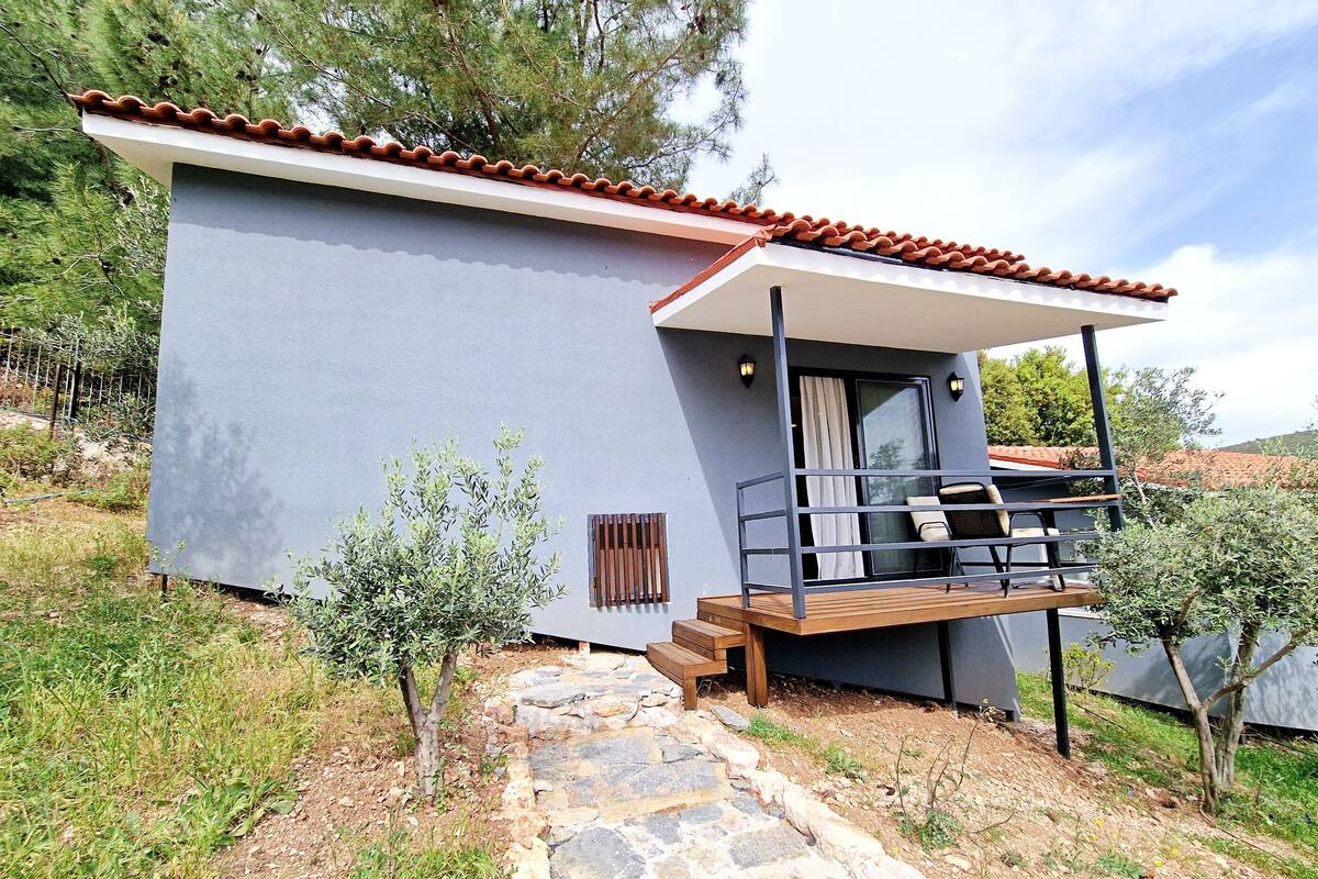 A modern house with a stone pathway leading to a wooden deck.