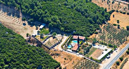 Turnabogazi Ciftlik Evleri