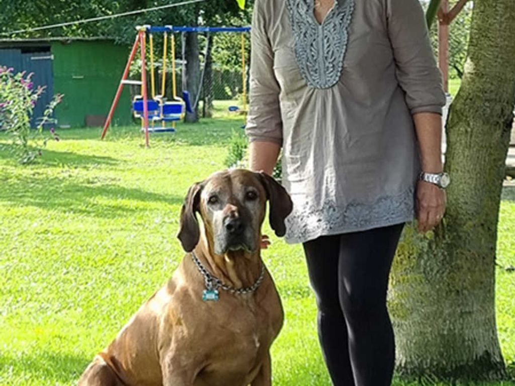 A person standing next to a large dog in a grassy outdoor area with a swing set in the background.