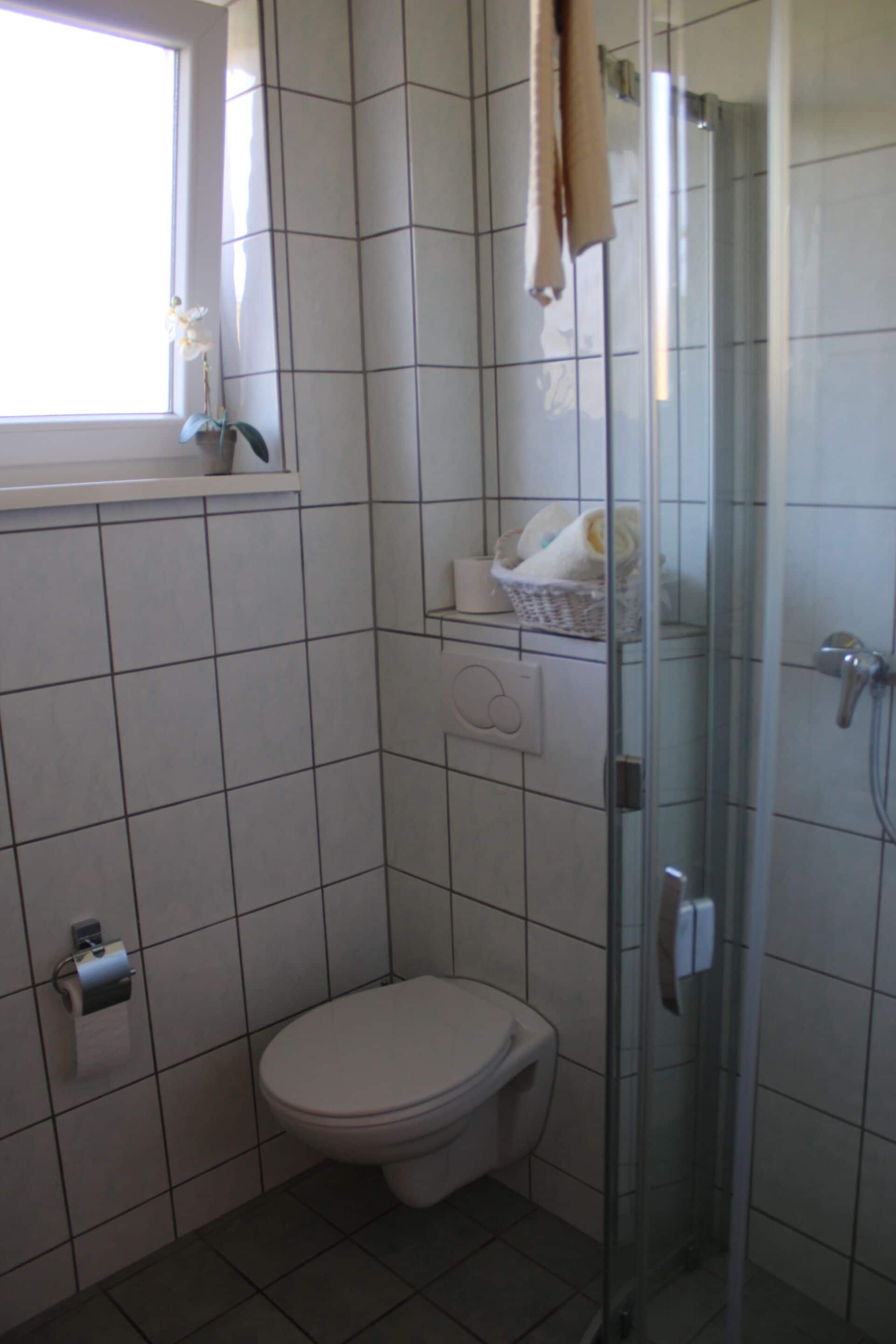 Un baño con inodoro, cabina de ducha de vidrio, toallero y ventana con planta en maceta.