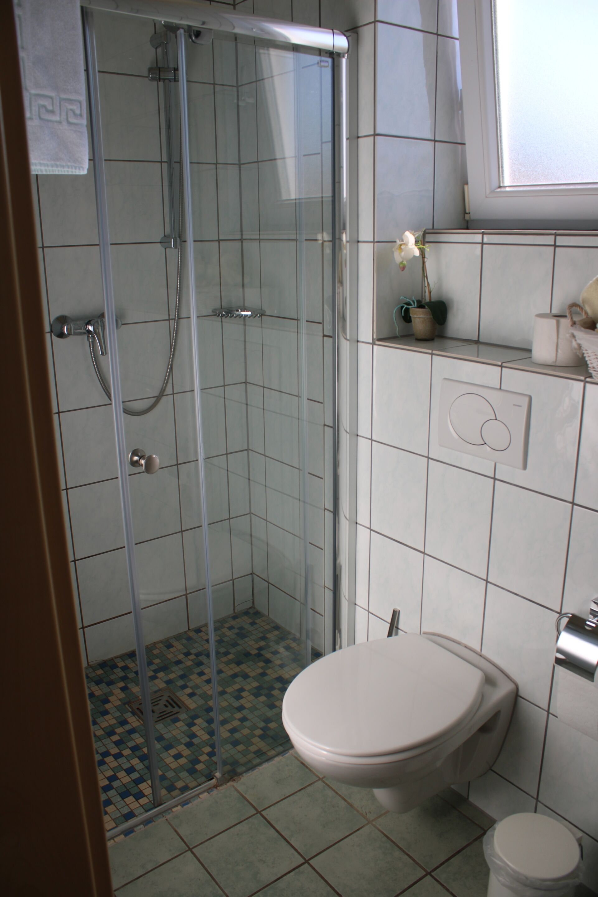 Kylpyhuoneessa on lasiseinällä varustettu suihku, wc ja pieni ruukkukasvi seinällä.