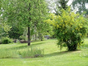 Unclassified image, 4 of 12, button