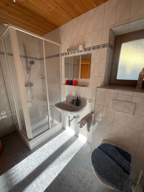 Shower, hair dryer, towels, toilet paper - Apartment Amselweg - House Römerweg (Strobl)