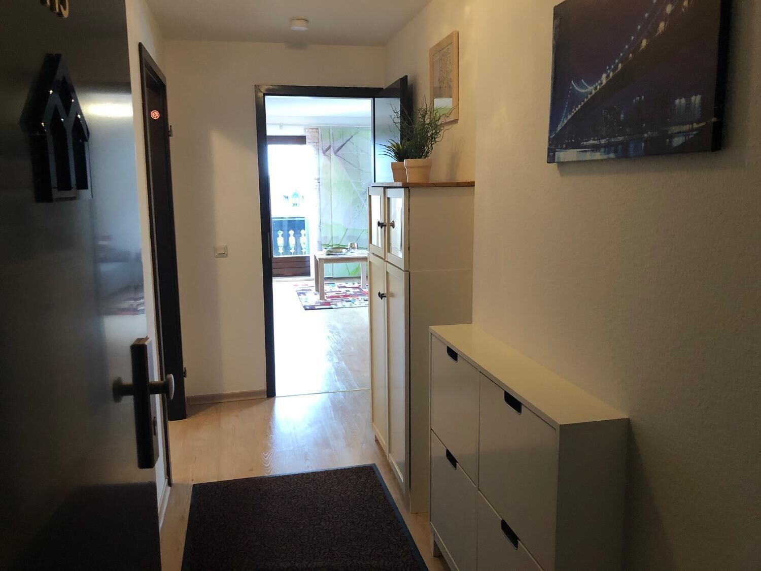 A hallway with a door, a white cabinet, a small table with a plant, and a framed picture on the wall.