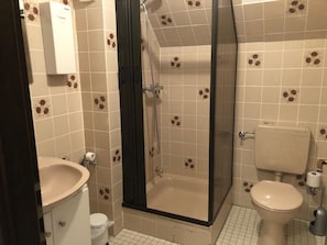 A bathroom with a shower, toilet, sink, and a toilet paper holder. - Apartment Azalea (Winterberg)