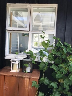 Detalle del exterior