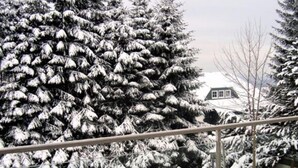 A snow-covered landscape with a house in the background and a metal railing in the foreground. - Ferienhaus Beja (Winterberg)