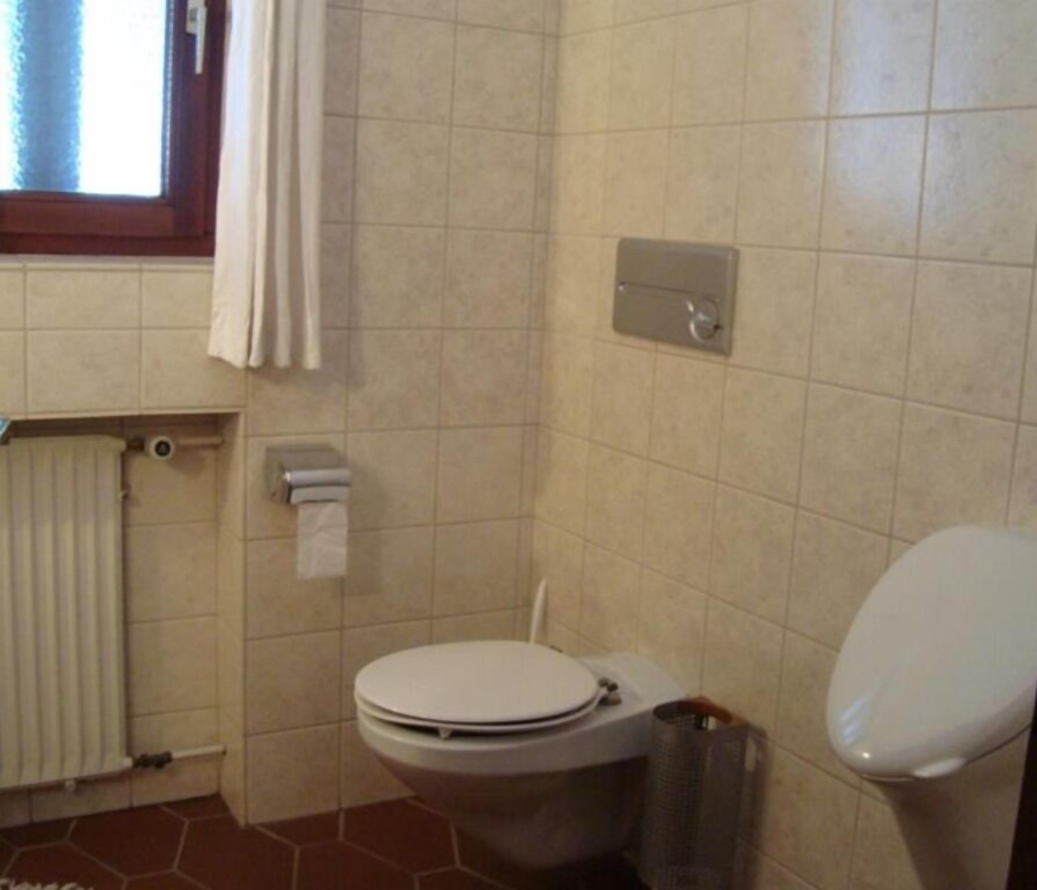 A bathroom with a toilet, a radiator, and a window with curtains.
