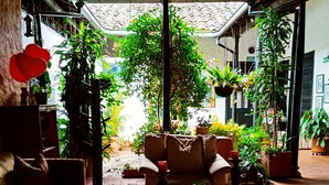 Un salon confortable avec un canapé, des fauteuils, une table basse et des plantes en pot.
