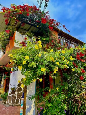 Front of property - Casa del Lago Lodging House (Puerto Ayora)