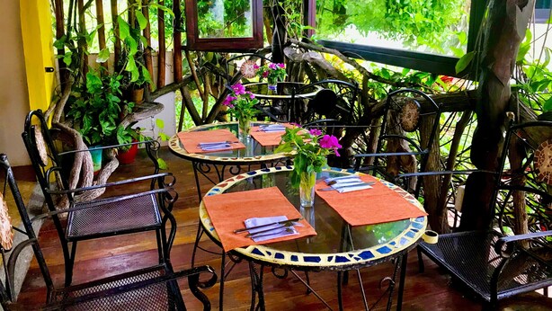 An outdoor dining area with round tables, chairs, and potted plants. - Casa del Lago Lodging House (Puerto Ayora)