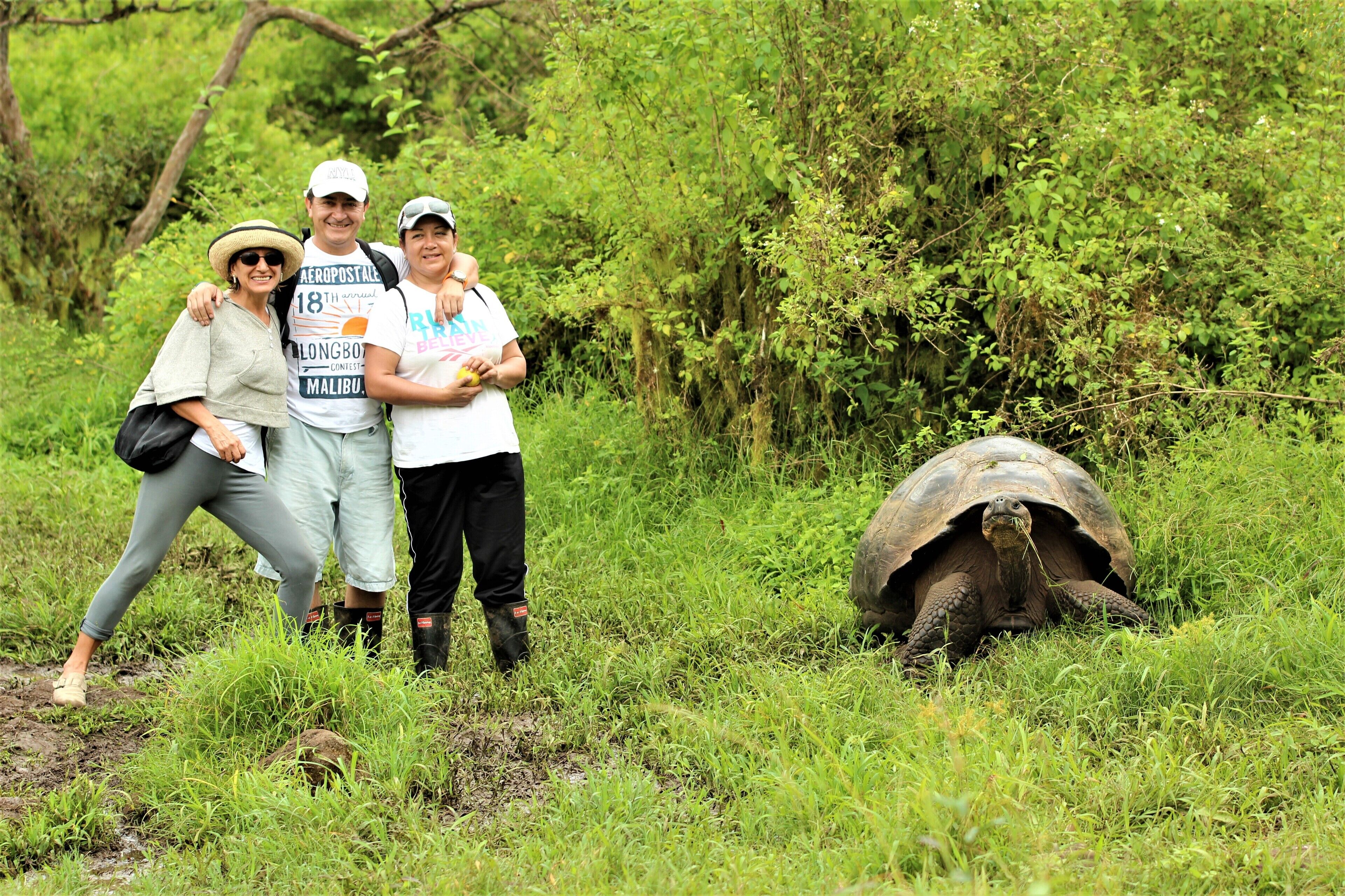 A group of people standing near a tortoise in a grassy area with dense foliage in the background.
