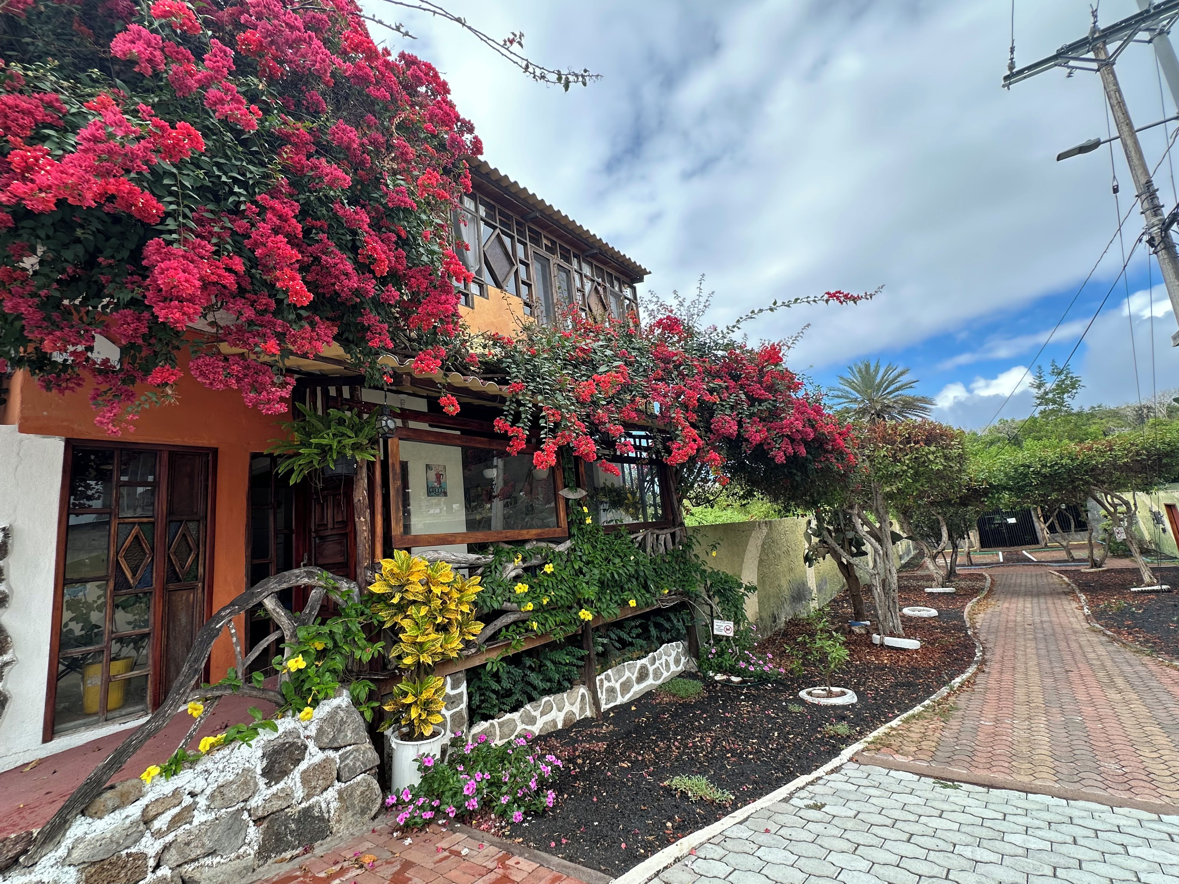 A building with a balcony covered in red flowers, a stone wall, and a paved pathway.