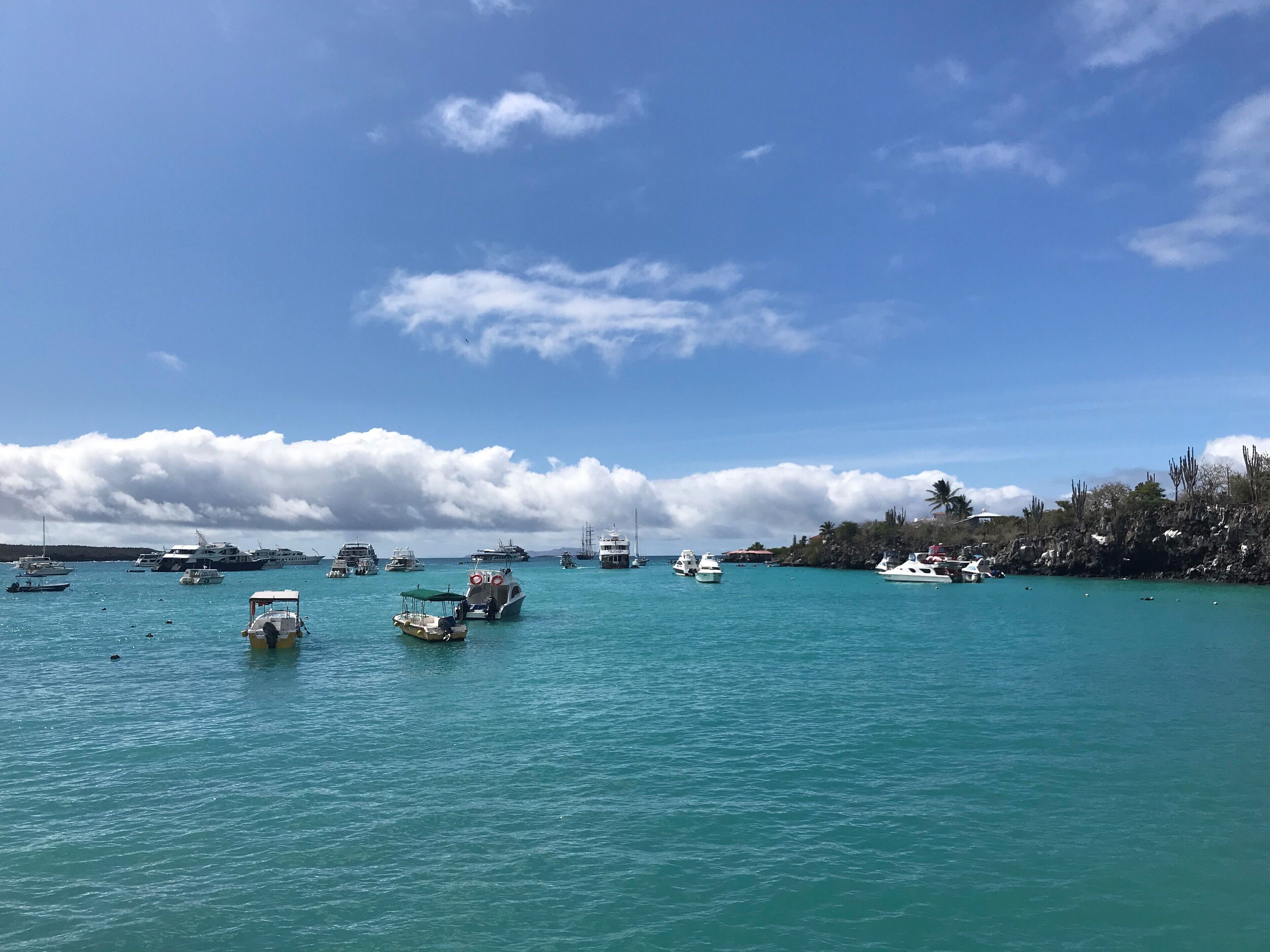 A marina with various boats docked, calm turquoise waters, and a clear sky.