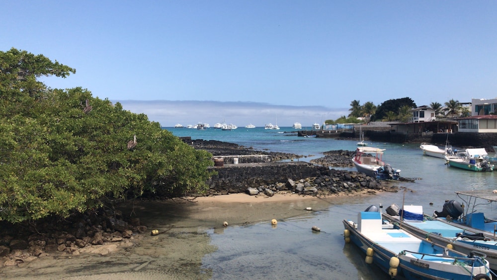 CASA DEL LAGO LODGING HOUSE by null