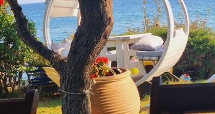 Corfu Island Apartment 13