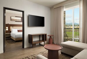 평면 TV, 넷플릭스, 훌루, 스트리밍 서비스