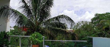 Terraço/pátio
