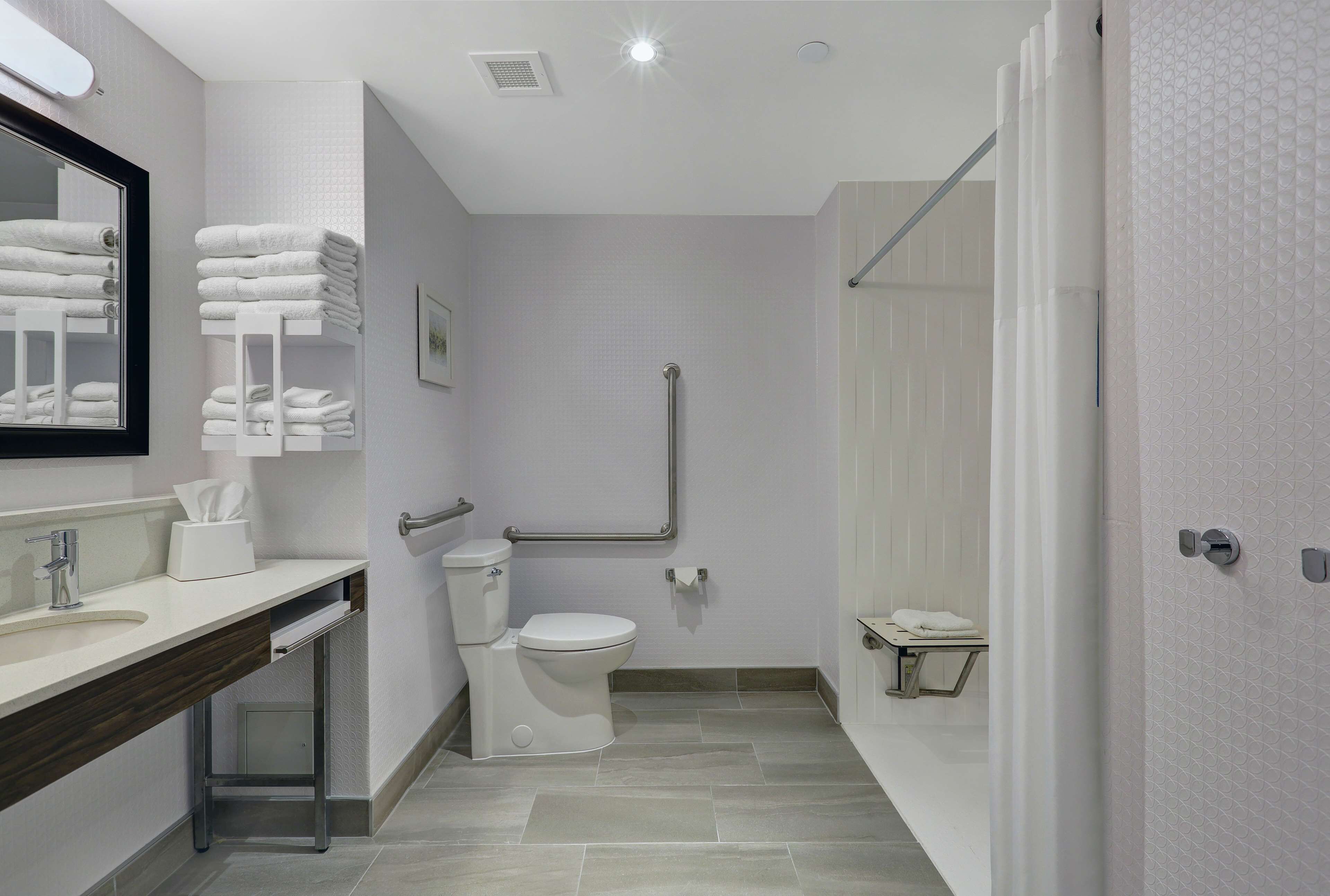 room, 1 king bed, accessible (roll-in shower) | bathroom | free toiletries, hair dryer, soap, shampoo