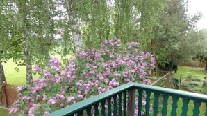 A green wooden deck with a railing, surrounded by trees and a garden with pink flowers. - Apartment above - Landhaus Ulrich (Bergen auf Rügen)