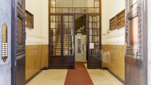 A hallway with wooden doors and a red carpet leading to a staircase.