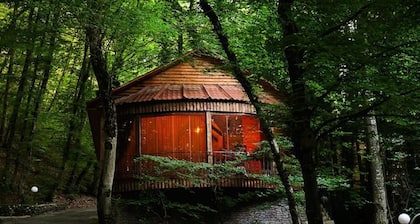 Aynur-Restorant-Hotel