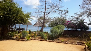 A beachside setting with a thatched-roof hut, a wooden table and chairs, and a variety of tropical plants. - Chole Foxes lodge (Chole Island)