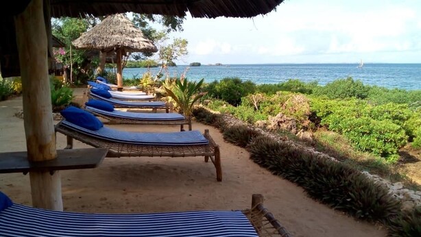 A beachside lounge with thatched-roof umbrellas, sun loungers, and a view of the sea. - Chole Foxes lodge (Chole Island)