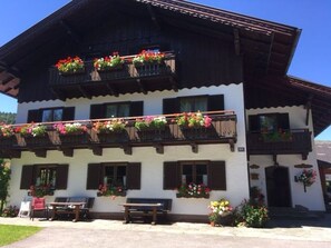 Esterni