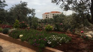 A landscaped garden with various plants and flowers, a building with a red roof in the background, and a clear sky.